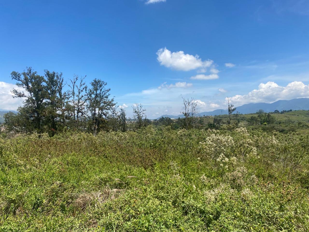 Perspectiva Finca Praderas